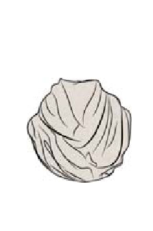 Shan Katy Tube scarf one size linen